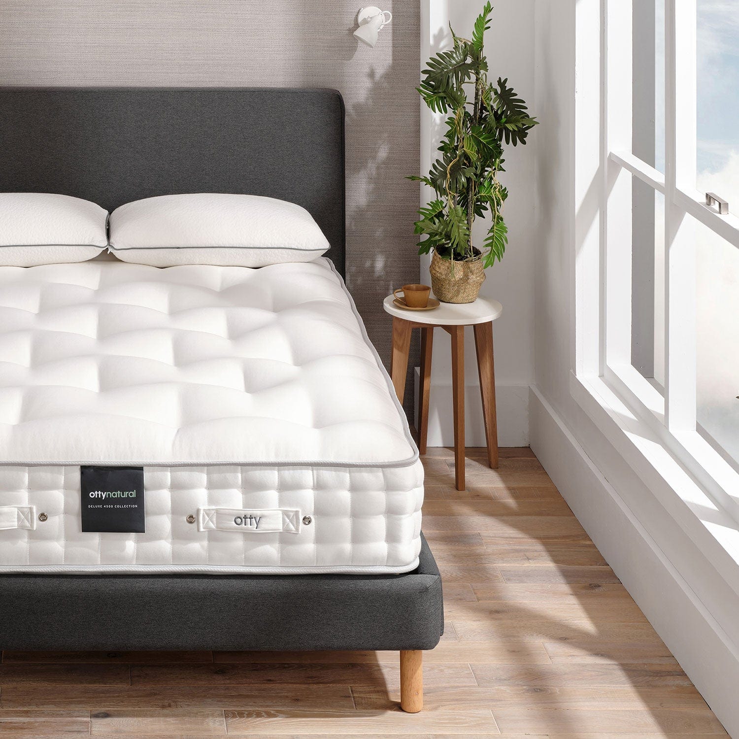 OTTY Natural Evolve - Image 3