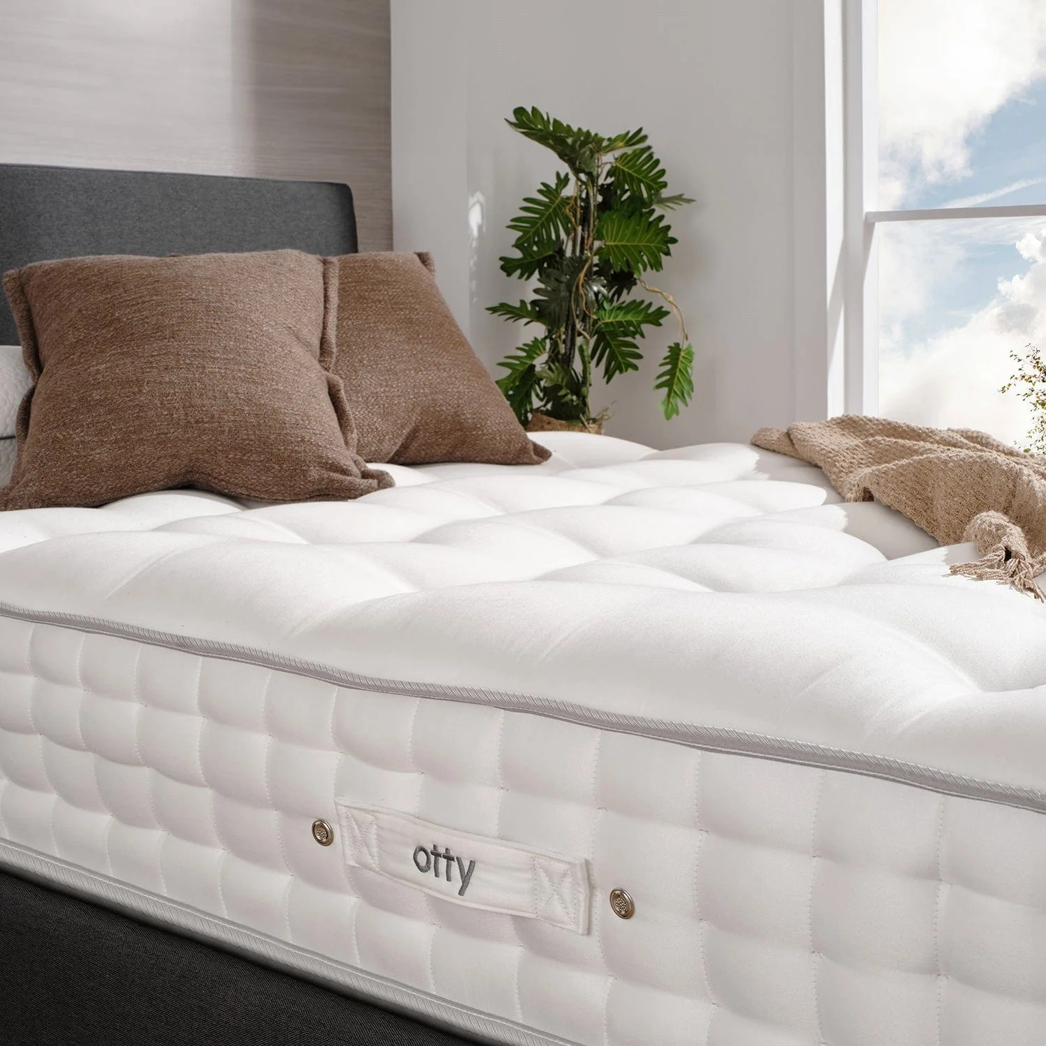 OTTY Natural Evolve - Image 4