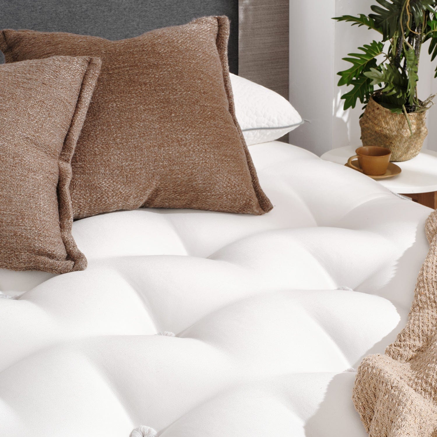 OTTY Natural Evolve - Image 6